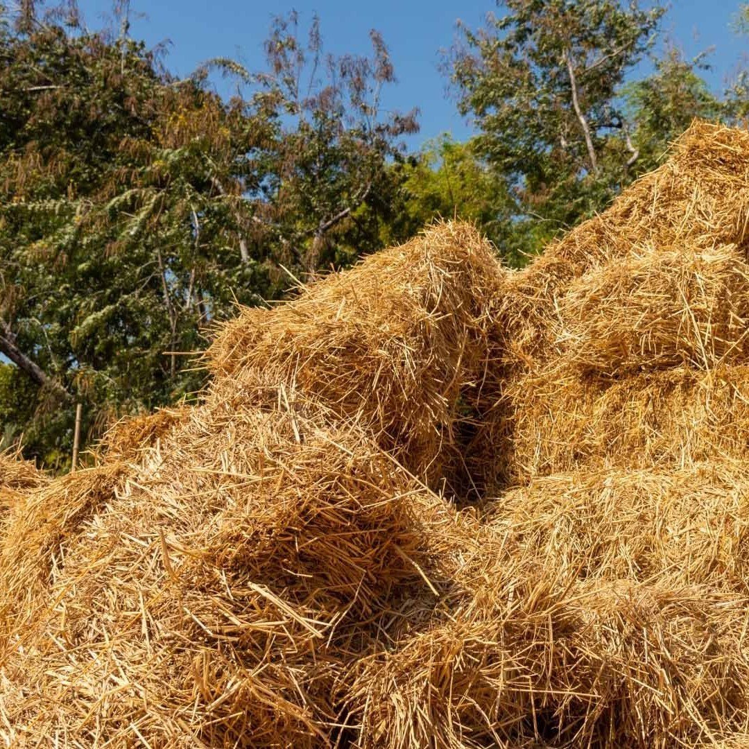 animal-dry-fodder